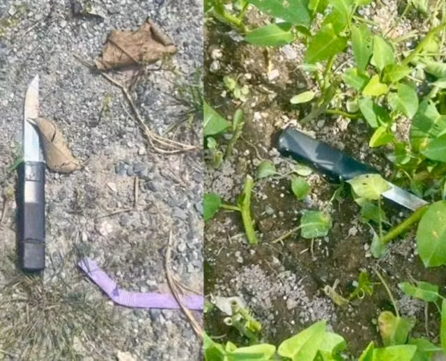 Hung khí 2 nghi phạm cướp giật dùng tấn công người dân vây bắt