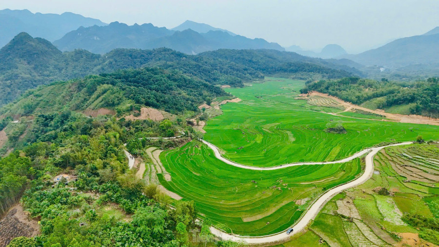 Tầng tầng lớp lớp ruộng bậc thang xanh mướt phủ kín thung lũng Pù Luông, khung cảnh khiến nhiều người lầm tưởng là ở vùng cao Tây Bắc. Tầng tầng lớp lớp ruộng bậc thang xanh mướt phủ kín thung lũng Pù Luông, khung cảnh khiến nhiều người lầm tưởng là ở vùng cao Tây Bắc.