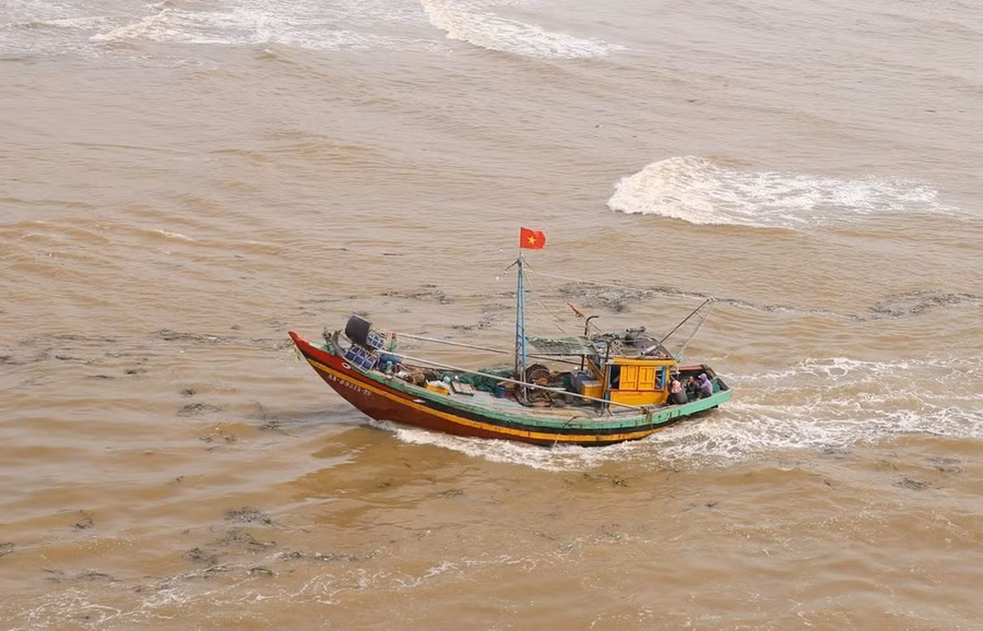 Ảnh minh họa. (Ảnh: Xuân Tiến/TTXVN)