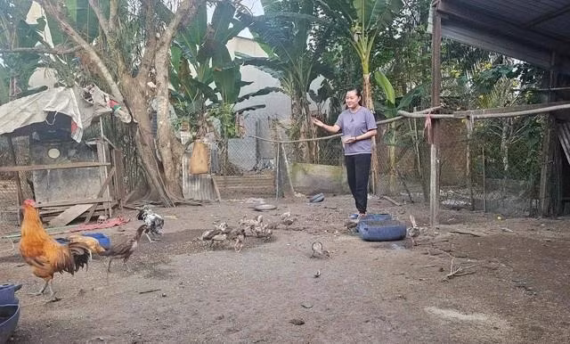 Trâm phụ giúp gia đình trước ngày lên đường nhập ngũ