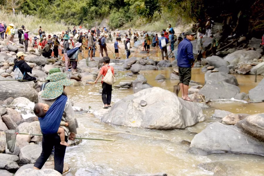 Người Giẻ Triêng 'gây mê' bắt cá bằng cây rừng ảnh 12