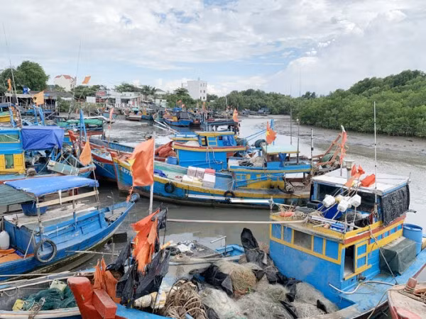 Những con tàu neo mình trên bến sau chuyến đi biển.