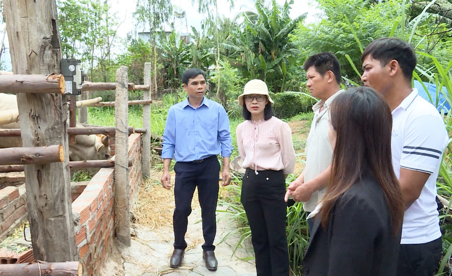 Évaluation du projet de prêt du Fonds de crédit populaire 2025 dans la commune de Ha Tam, district de Dak Po. Photo : M.L. tham-dinh-du-an-vay-von-quy-ho-tro-nong-dan-nam-2025.jpg
