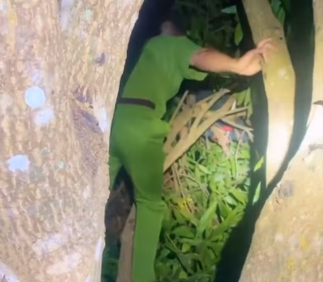 Công an trèo lên cây xoài giải cứu cháu bé ngủ quên