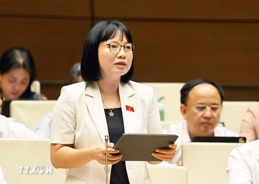 Đại biểu Quốc hội thành phố Hải Phòng Nguyễn Thị Việt Nga phát biểu. (Ảnh: Doãn Tấn/TTXVN)
