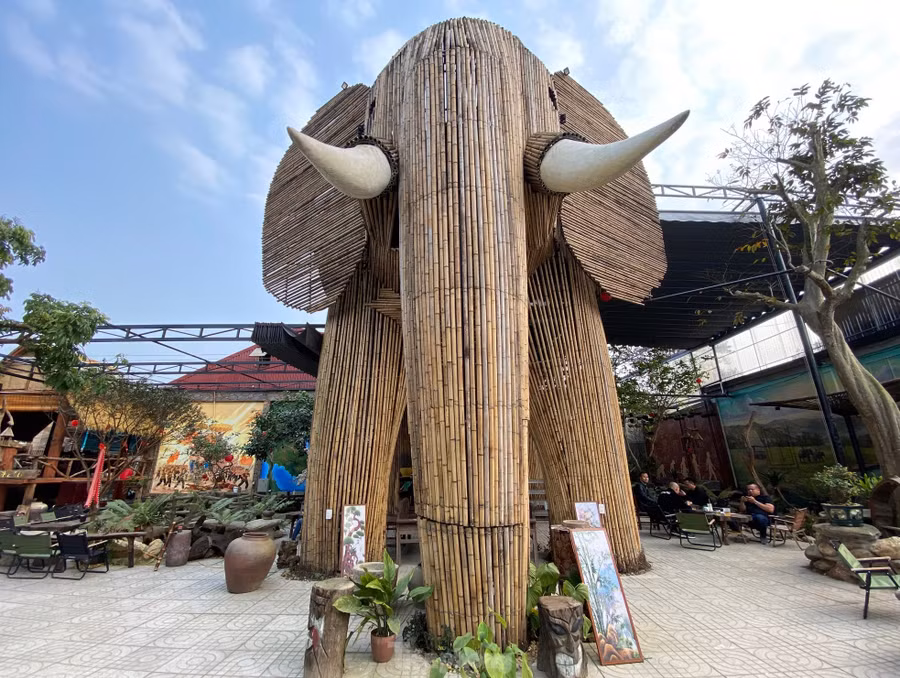 Theo anh Lê Văn Nam (chủ quán) cho biết, hình con voi được anh thiết kế tạo điểm nhấn cho quán cafe với mong muốn mọi người bảo tồn thiên nhiên, bảo tồn động vật hoang dã. Ngoài ra, anh còn muốn đưa đến cho mọi người một không gian trải nghiệm gần gũi với thiên nhiên sau những ngày dài làm việc mệt nhọc.