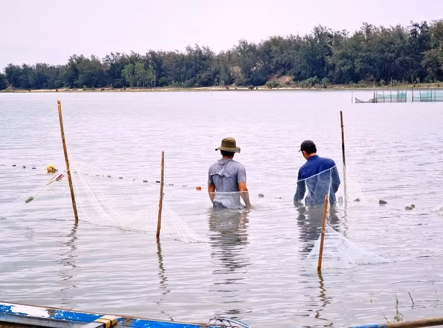 Người dân đánh cá ở đầm An Khê, xã Phổ Khánh, thị xã Đức Phổ