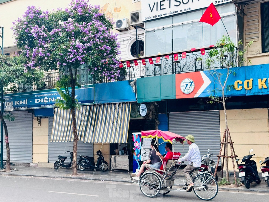 Với ưu điểm là cây bóng mát, phù hợp với không gian đô thị, do đó, cây bằng lăng được trồng nhiều ở các tuyến phố Hà Nội như phố Kim Mã, Đinh Tiên Hoàng, Thợ Nhuộm... Với ưu điểm là cây bóng mát, phù hợp với không gian đô thị, do đó, cây bằng lăng được trồng nhiều ở các tuyến phố Hà Nội như phố Kim Mã, Đinh Tiên Hoàng, Thợ Nhuộm...