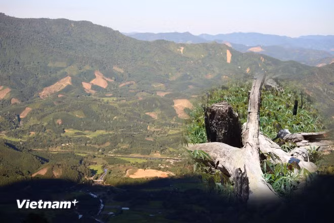 (Ảnh minh họa. Nguồn: Vietnam+)