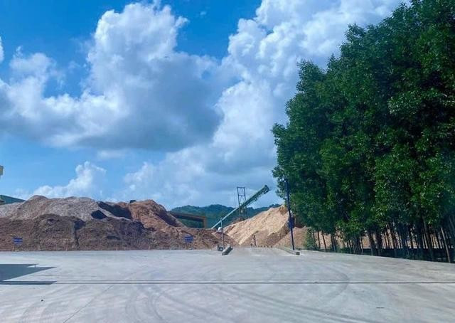 Công ty dăm gỗ trên địa bàn xã Cát Hiệp, nơi một người bị điện giật tử vong Công ty dăm gỗ trên địa bàn xã Cát Hiệp, nơi một người bị điện giật tử vong