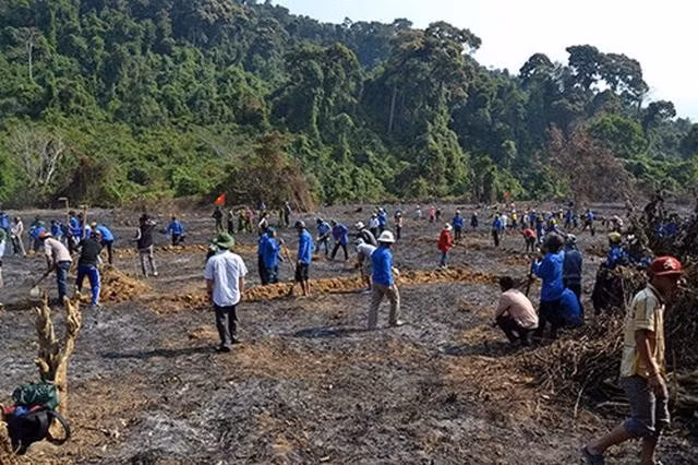 Thanh niên tham gia khai hoang, phục hóa đồng Nước Kiết