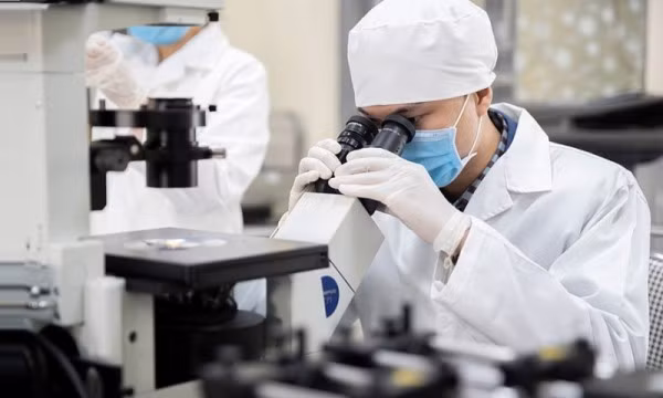 Cần có những cú hích đột phá trong chính sách để thu hút người tài.