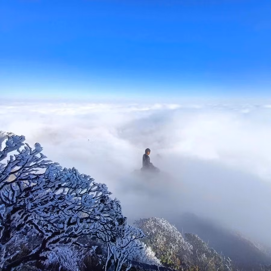 Khung cảnh huyền ảo trên đỉnh Fansipan vào mùa đông với tuyết trắng