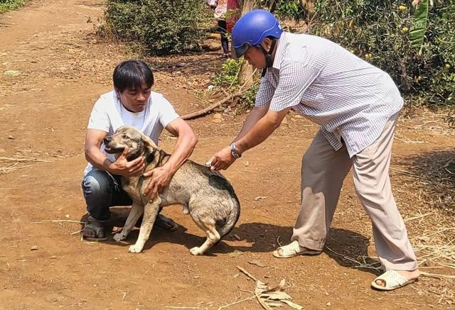 Cán bộ thú y tiêm phòng dại cho chó ở Đắk Lắk Cán bộ thú y tiêm phòng dại cho chó ở Đắk Lắk