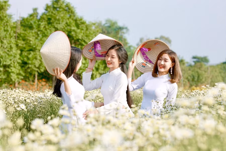 Những cánh hoa nhỏ trắng tinh khôi, nhụy vàng nhạt khiến giới trẻ Hà Nội thích thú, tìm đến tạo dáng chụp ảnh.