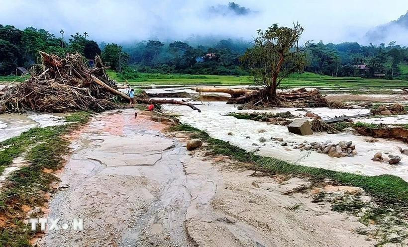 Ảnh minh họa. (Nguồn TTXVN) Ảnh minh họa. (Nguồn TTXVN)