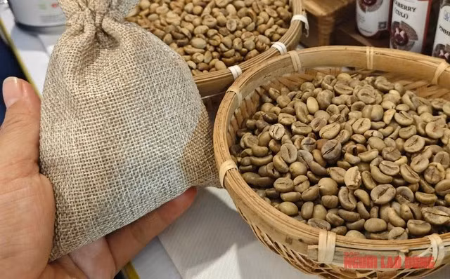 Việt Nam chiếm khoảng 17% thị phần xuất khẩu cà phê thế giới