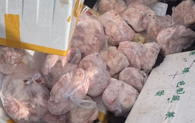 Gần 400kg thịt heo đông lạnh không rõ nguồn gốc, xuất xứ được phát hiện, thu giữ.