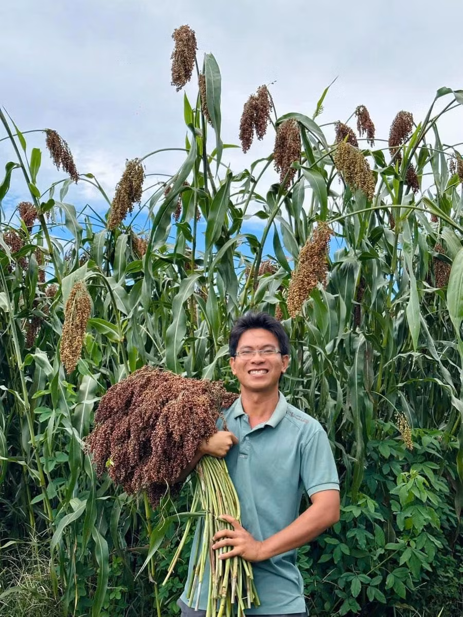 Anh Võ Quốc Lập theo đuổi mô hình làm vườn thuận tự nhiên đã 10 năm nay