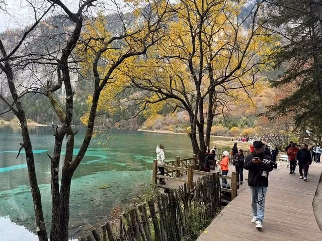 Mùa thu đẹp nao lòng người ở Cửu Trại Câu