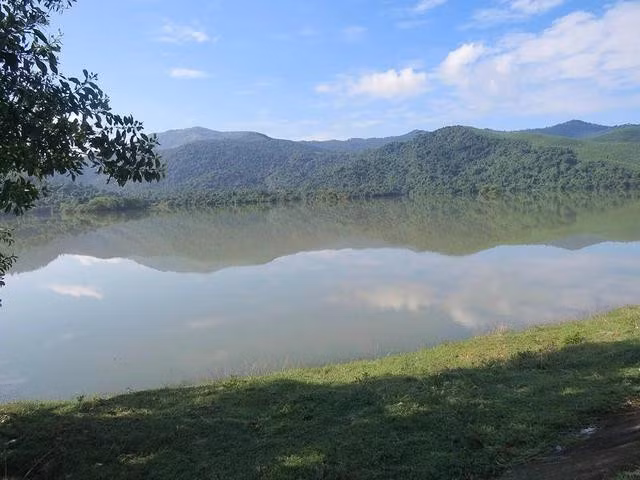 Đứng trên thân đập hồ chứa nước Huân Phong nhìn về thượng nguồn, khu vực rừng vợ chồng ông Sơn trồng cây lim xanh