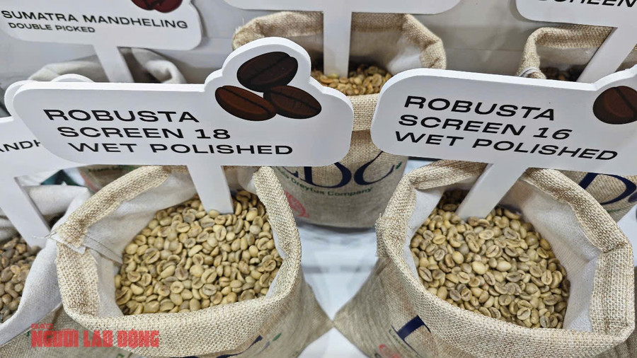 LDC's green coffee area Khu vực cà phê nhân của LDC