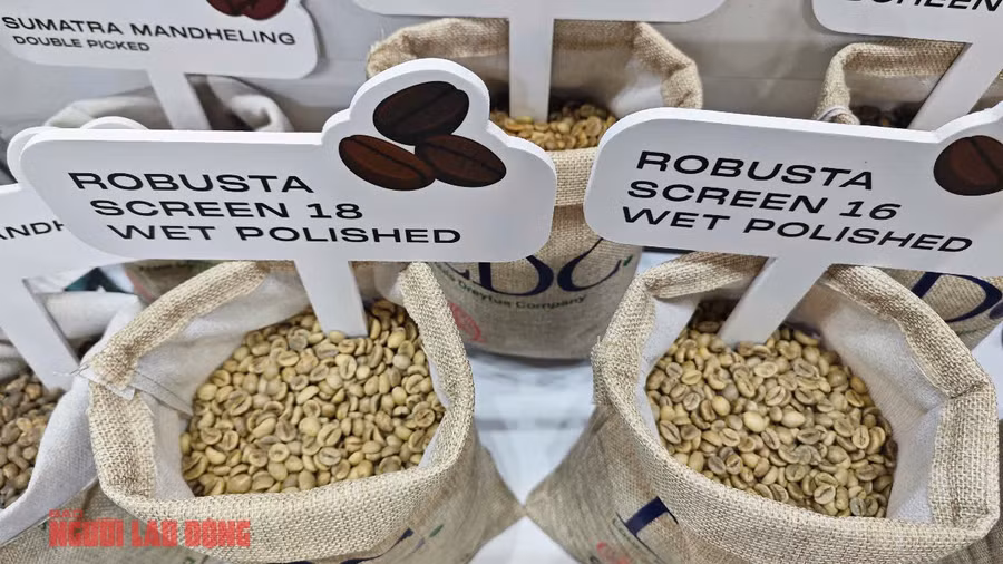 Khu vực cà phê nhân của LDC