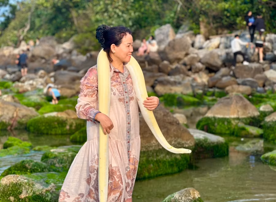 Thú cưng “đặc biệt” được du khách thích thú xin chụp ảnh check-in cùng bãi rêu