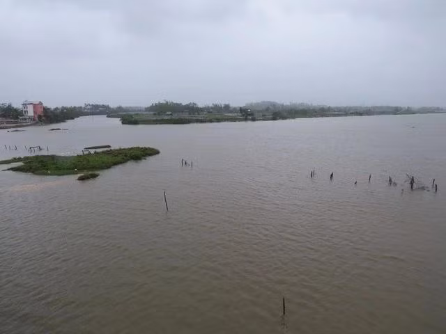 Sông Thoa, con sông gắn với làng quê của nhà thơ Thanh Thảo - tác giả bài viết