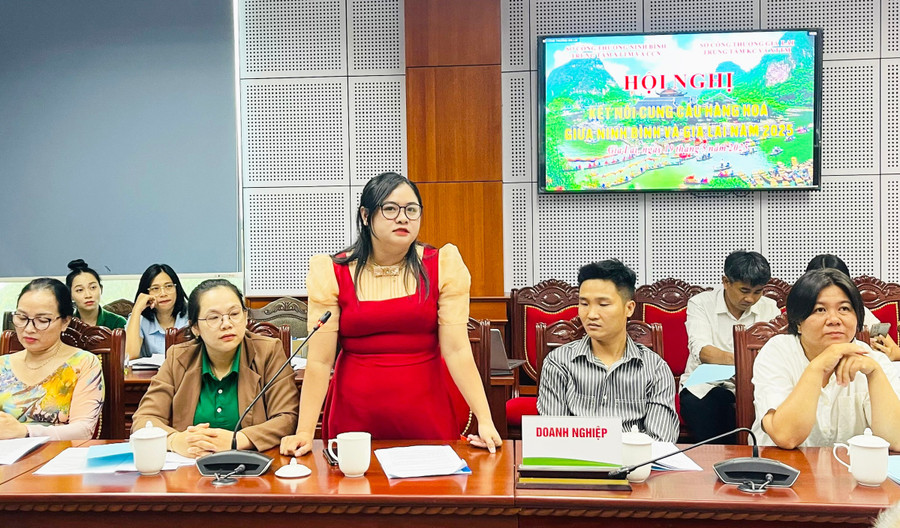 Bà Trần Thị Bé-Giám đốc Công ty TNHH một thành viên Trần Lâm Gia Phát phát biểu tại Hội nghị. Ảnh: H.T chi-tran-thi-be-giam-doc-cong-ty-tnhh-mtv-tran-lam-gia-phat-phat-bieu-tai-hoi-nghi.jpg