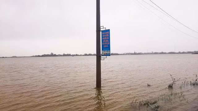 Nước lũ làm ngập gần 2.500 ha lúa vừa gieo sạ ở H.Tuy Phước (Bình Định)