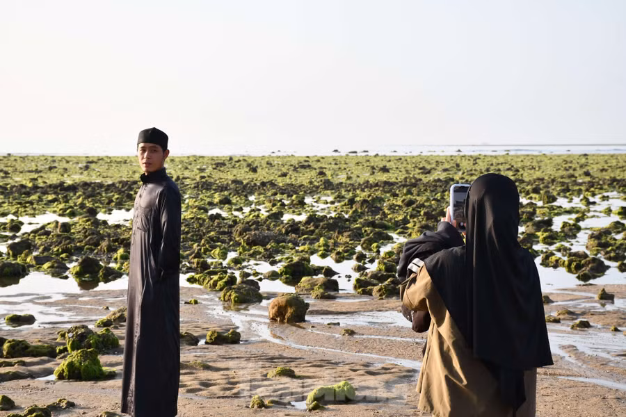 Nhiều bạn trẻ tranh thủ tạo dáng lúc bình minh để chụp lại những khoảnh khắc đẹp. Ghi lại hình ảnh đẹp ở bãi rêu xanh.