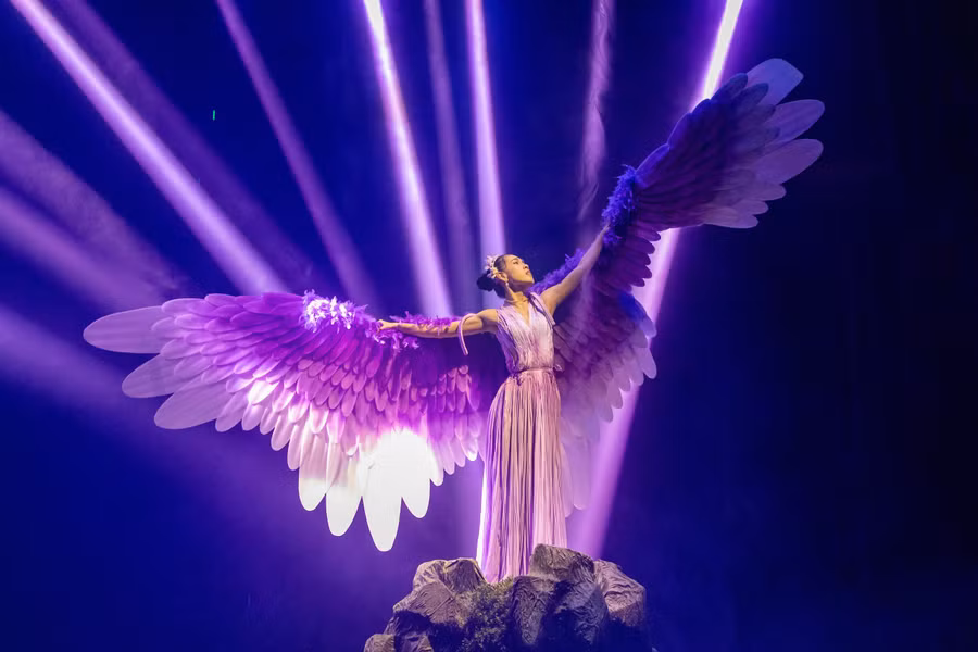 "Tiên Sa" đã vượt qua vòng thẩm định của Hội đồng nghệ thuật, Sở Văn hóa Thể thao, Sở Du lịch TP Đà Nẵng