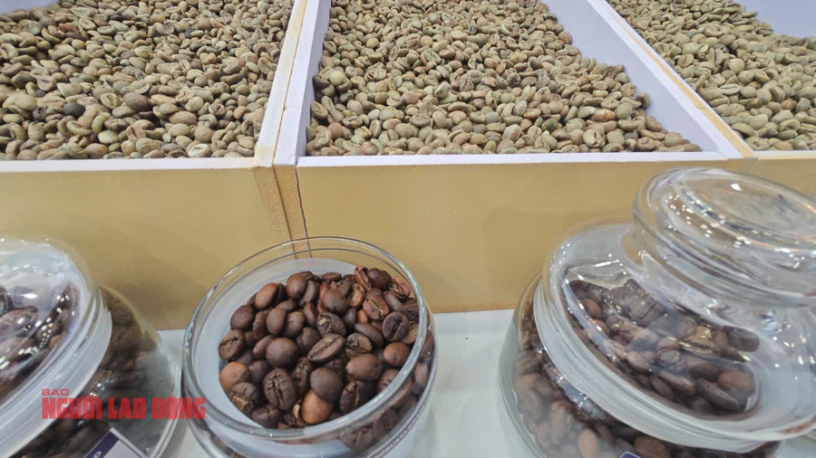 Coffee prices have fallen sharply since May. Giá cà phê giảm mạnh từ tháng 5