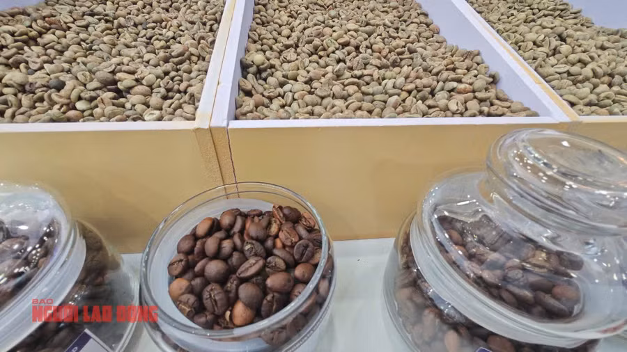 Giá cà phê giảm mạnh từ tháng 5