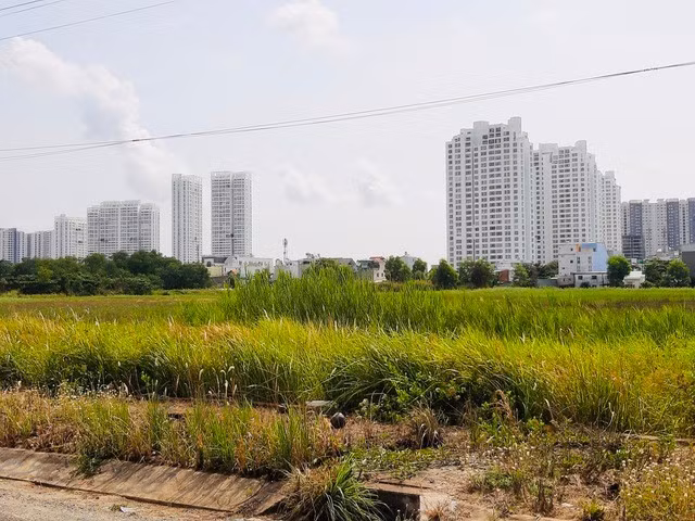 Thí điểm cho các loại đất được làm nhà ở thương mại là rất cần thiết ảnh 1