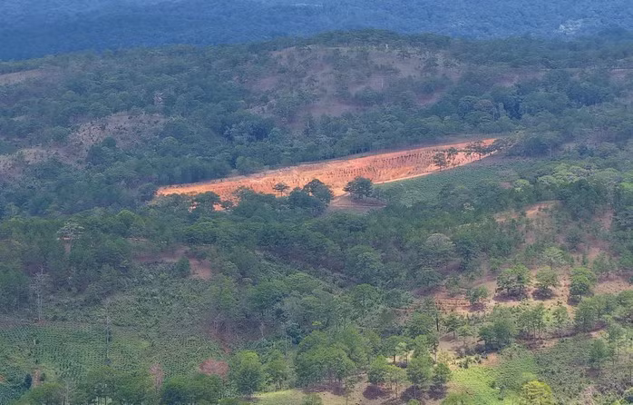 Đặc biệt, giữa khoảng rừng thông rộng lớn trên đồi ở xã Lát, vài năm trước xuất hiện một mảng đất bị san gạt và hiện diện đến tận hôm nay.