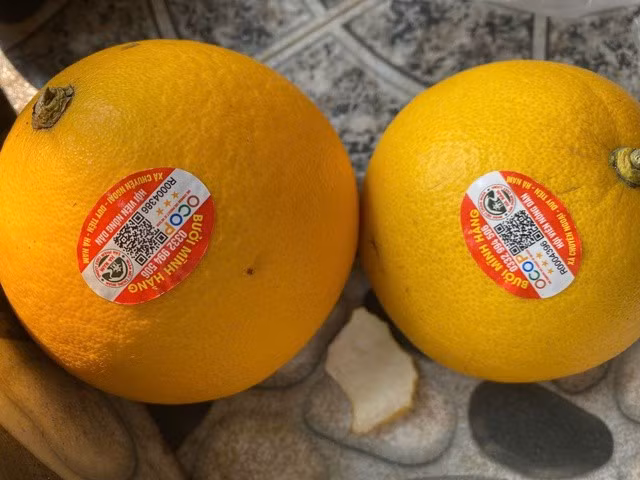 Những quả bưởi đạt chứng nhận OCOP thu hoạch đến đâu bán hết tới đó