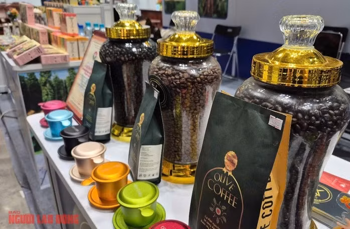 Giá cà phê đang dò đáy