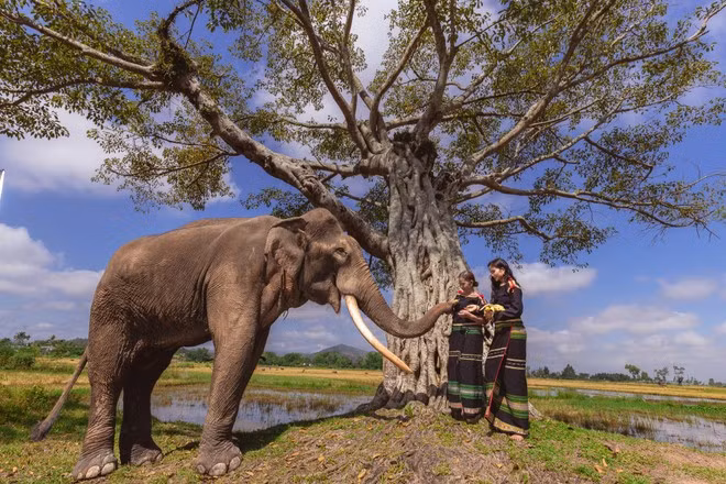 Hình ảnh mang đậm văn hóa truyền thống của người Ê Đê trong MV mới của H'Hen Niê. (Ảnh: NVCC)