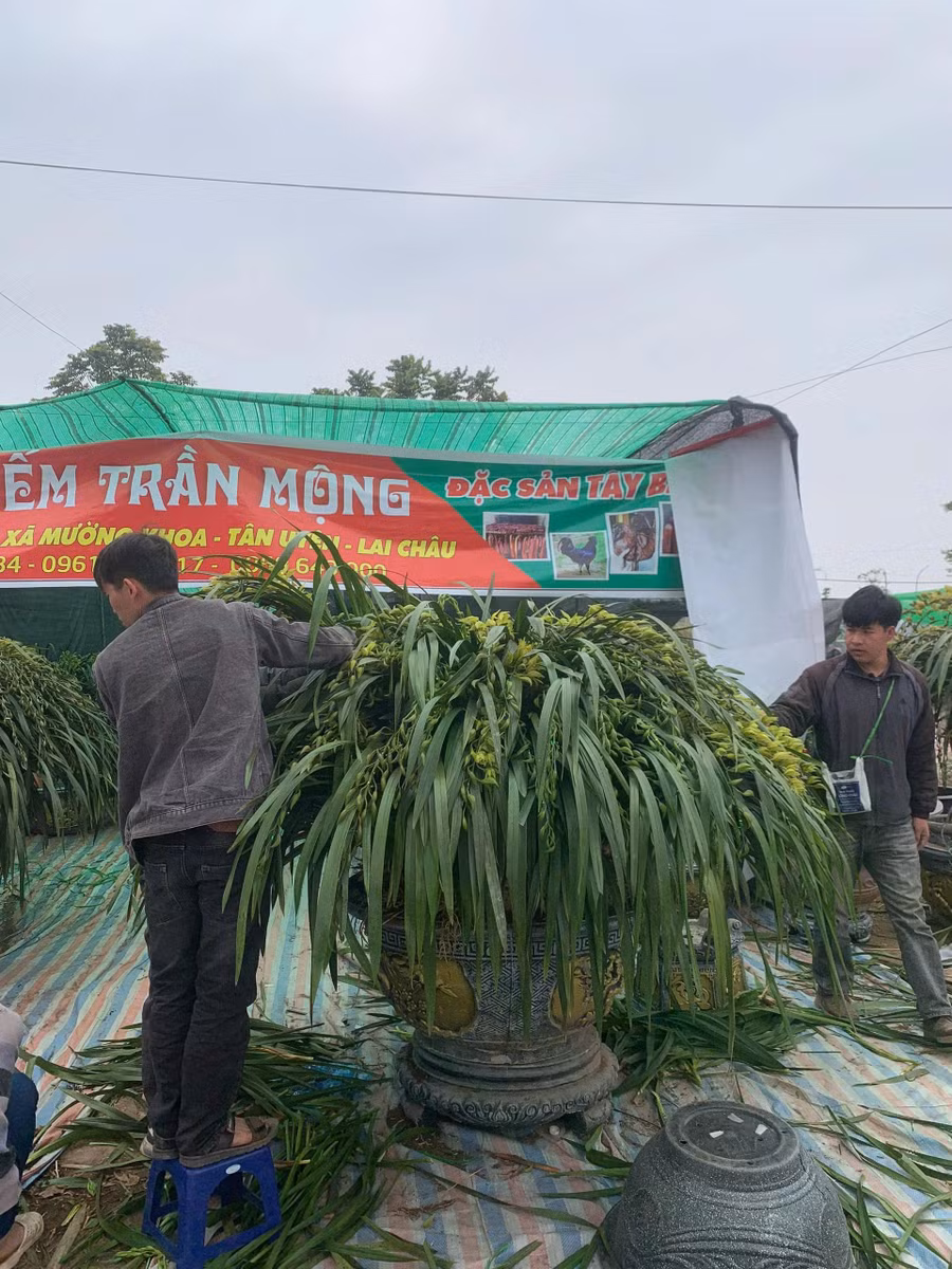 Gian hàng lan Trần Mộng của các anh em người Mông bản Hô Tra trên đường Cổ Linh