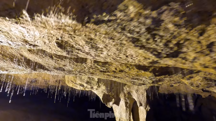 Khi bước vào động Ngườm Ngao, du khách sẽ được chiêm ngưỡng vẻ đẹp huyền bí và độc đáo của thiên nhiên. Động được chia thành nhiều buồng lớn nhỏ khác nhau, mỗi buồng đều có những hình dạng và vẻ đẹp riêng biệt.