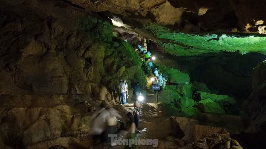 Bên cạnh đó, động Ngườm Ngao còn có nhiều suối nước trong veo chảy róc rách suốt ngày đêm, tạo nên bởi nước mưa và nước ngầm. Những suối nước này không chỉ tạo nên vẻ đẹp độc đáo cho động mà còn là nơi sinh sống của nhiều loài động vật.