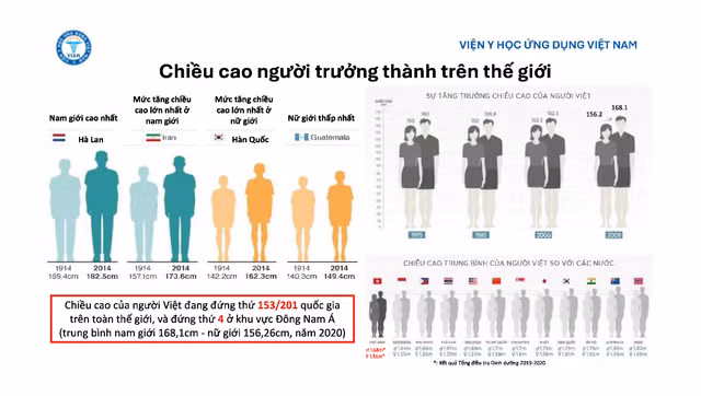 Chiều cao của người Việt đứng thứ 4 ở khu vực Đông Nam Á