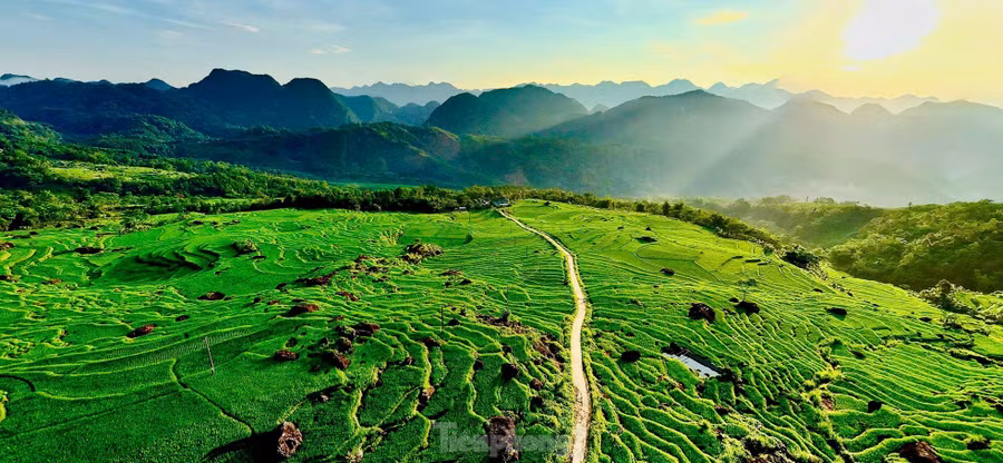 Khu bảo tồn thiên nhiên Pù Luông, thuộc địa phận hai huyện Bá Thước và huyện Quan Hóa, cách TP. Thanh Hóa khoảng 150km về phía Tây Bắc.