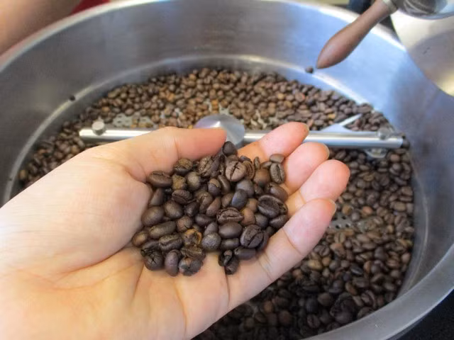 Mỹ là thị trường nhập khẩu cà phê lớn thứ 5 của Việt Nam