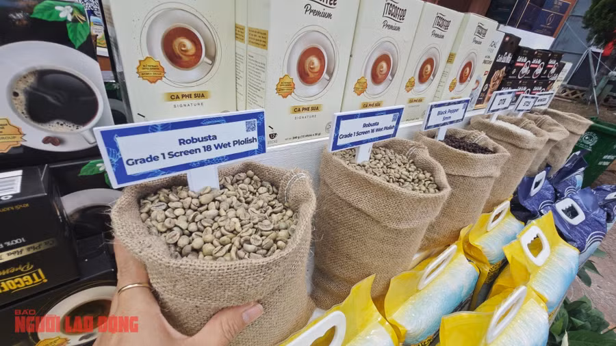 Giá cà phê đang đứng ở mức cao