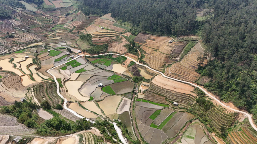 Nhìn từ trên cao, ruộng bậc thang mùa nước đổ hiện lên như một bức tranh khảm sống động với những mảng màu đan xen, chỗ ánh nước loang loáng như gương, chỗ là lớp đất nâu ẩm, chỗ đã phủ xanh mạ non. Sự pha trộn giữa màu trời, màu đất và màu cây cối tạo nên vẻ đẹp cuốn hút, khiến du khách không khỏi ngỡ ngàng. Nhìn từ trên cao, ruộng bậc thang mùa nước đổ hiện lên như một bức tranh khảm sống động với những mảng màu đan xen, chỗ ánh nước loang loáng như gương, chỗ là lớp đất nâu ẩm, chỗ đã phủ xanh mạ non. Sự pha trộn giữa màu trời, màu đất và màu cây cối tạo nên vẻ đẹp cuốn hút, khiến du khách không khỏi ngỡ ngàng.
