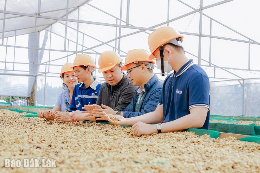 Lắng nghe những câu chuyện về cà phê để tìm hiểu thêm về giống cây, quy trình trồng và cách tạo ra hương vị đặc trưng của loại cà phê đặc sản chất lượng cao. Lắng nghe những câu chuyện về cà phê để tìm hiểu thêm về giống cây, quy trình trồng và cách tạo ra hương vị đặc trưng của loại cà phê đặc sản chất lượng cao.