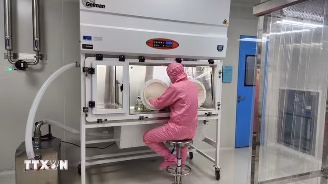 (Ảnh: Sỹ Thắng/TTXVN)